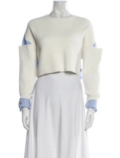 Pre-owned Alexander Wang Crew Neck Long Sleeve Crop Top In Neutral