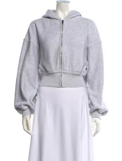 Pre-owned Alexander Wang Crew Neck Long Sleeve Hoodie In Gray