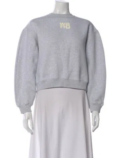 Pre-owned Alexander Wang Crew Neck Long Sleeve Sweatshirt In Gray