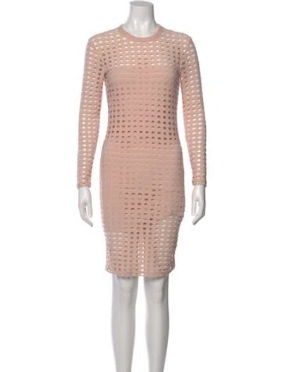 Pre-owned Alexander Wang Crew Neck Mini Dress In Neutral