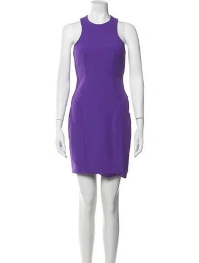 Pre-owned Alexander Wang Crew Neck Mini Dress In Purple