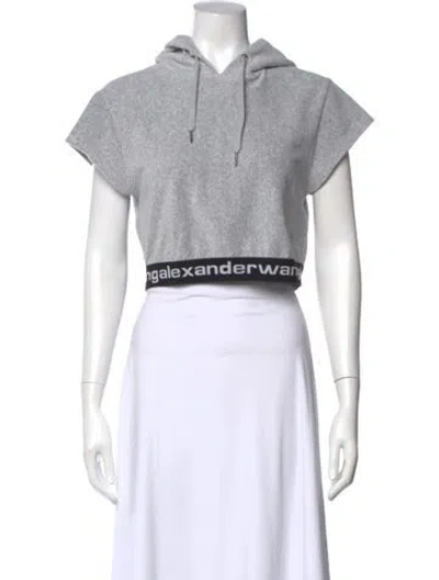 Pre-owned Alexander Wang Crew Neck Short Sleeve Crop Top In Gray