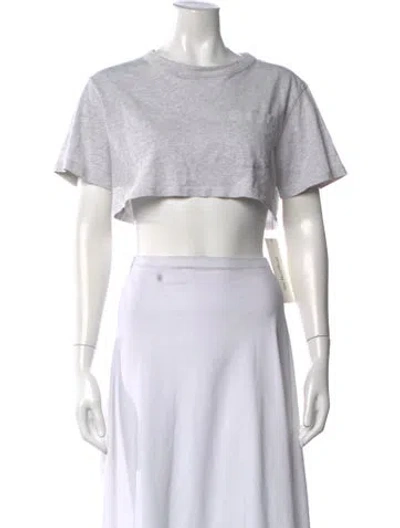 Pre-owned Alexander Wang Crew Neck Short Sleeve Crop Top In Gray
