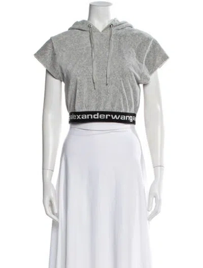 Pre-owned Alexander Wang Crew Neck Short Sleeve Hoodie In Gray