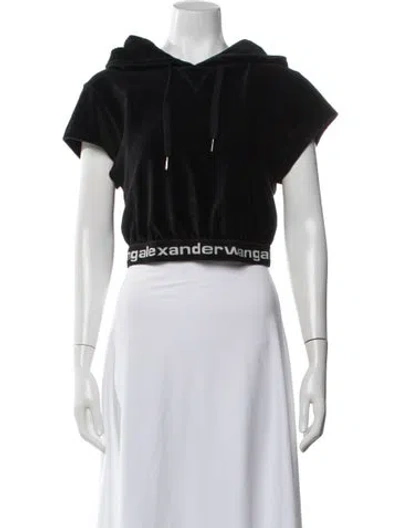 Pre-owned Alexander Wang Crew Neck Short Sleeve Hoodie In Multi