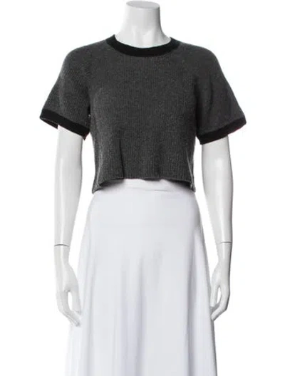Pre-owned Alexander Wang Crew Neck Short Sleeve T-shirt In Gray
