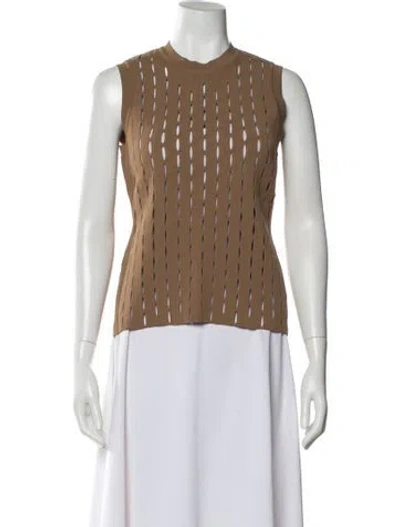 Pre-owned Alexander Wang Crew Neck Sleeveless Top In Brown
