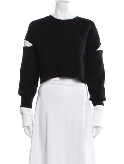 Pre-owned Alexander Wang Crew Neck Sweater In Black