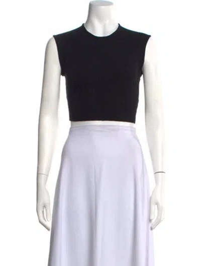 Pre-owned Alexander Wang Crew Neck Sweater In Neutral