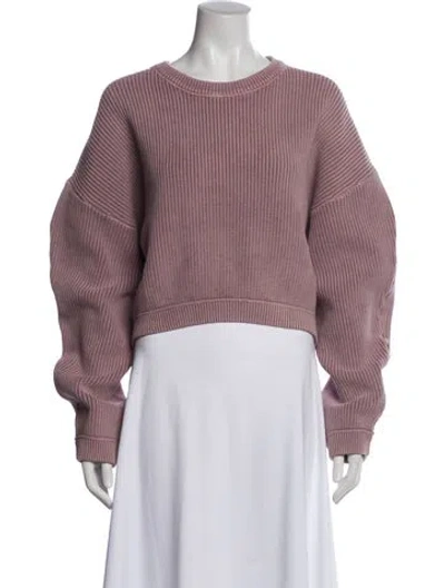 Pre-owned Alexander Wang Crew Neck Sweater In Purple