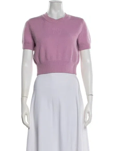 Pre-owned Alexander Wang Crew Neck Sweater In Purple