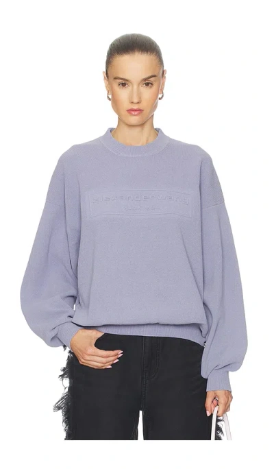 Alexander Wang Crewneck Pullover In Purple
