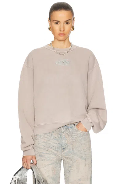 Alexander Wang Crewneck Sweatshirt In Washed Oyster