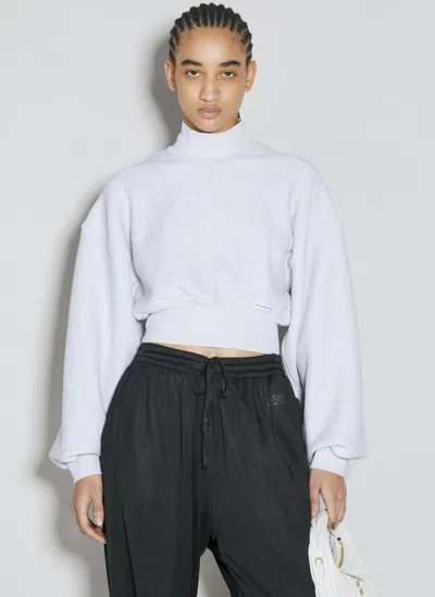 Alexander Wang Cropped High Neck Sweater In Grey