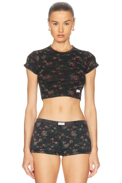 Alexander Wang Cropped Short Sleeve Tee In Washed Black Multi