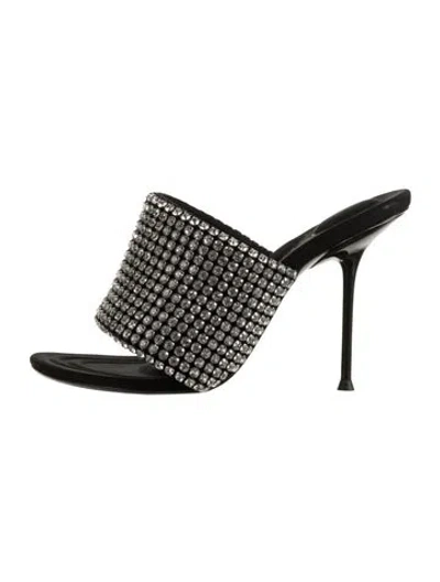 Pre-owned Alexander Wang Crystal Crystal Embellishments Mules In Silver