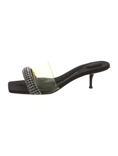 Pre-owned Alexander Wang Crystal Embellishments Slides In Transparent