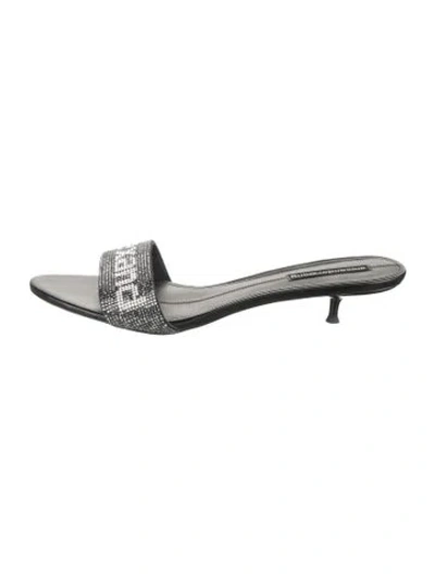 Pre-owned Alexander Wang Crystal Graphic Print Mules In Black
