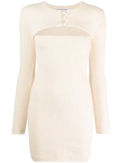 Alexander Wang Cut-out Knitted Minidress In Neutrals