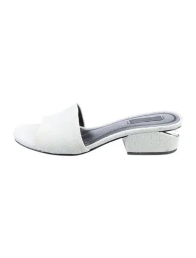 Pre-owned Alexander Wang Denim Slides In Blue