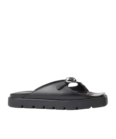 Alexander Wang Dome Logo-buckle Sandals In Black