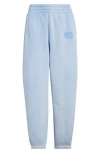 Alexander Wang Cotton Terry Logo Sweatpants In Purple