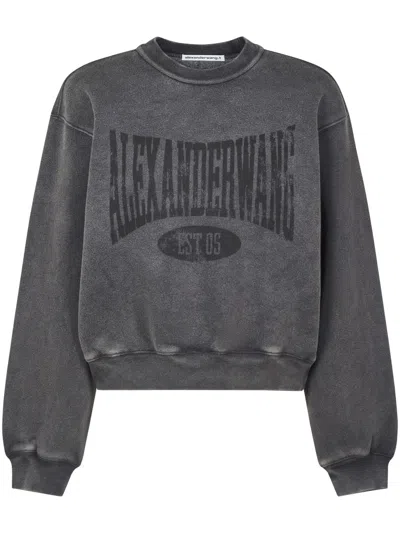Alexander Wang Graphic Crewneck Sweatshirt In Gray