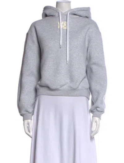 Pre-owned Alexander Wang Graphic Print Crew Neck Hoodie In Multi