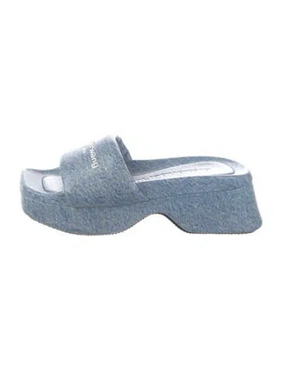Pre-owned Alexander Wang Graphic Print Slides In Blue