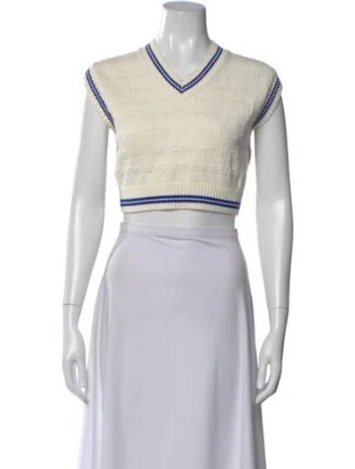 Pre-owned Alexander Wang Graphic Print V-neck Sweater In Neutral