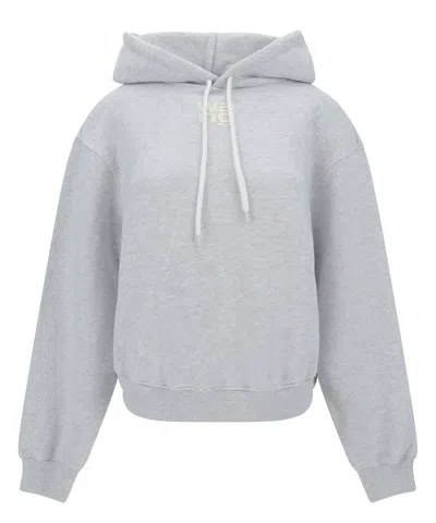 Alexander Wang Hoodie In Grey