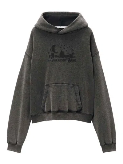 Alexander Wang Hoodie In Gris