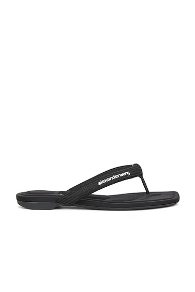ALEXANDER WANG JENNA TUBULAR FLAT THONG SANDAL