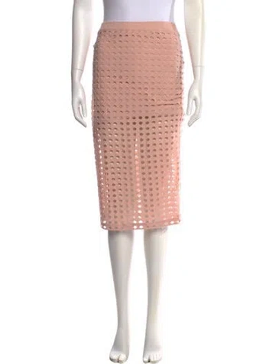 Pre-owned Alexander Wang Knee-length Skirt In Neutral