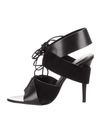 Pre-owned Alexander Wang Leather Boots In Black