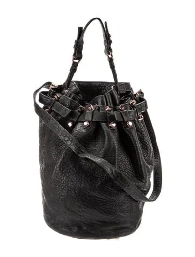 Pre-owned Alexander Wang Leather Bucket Bag In Black