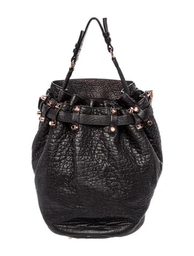 Pre-owned Alexander Wang Leather Bucket Bag In Black