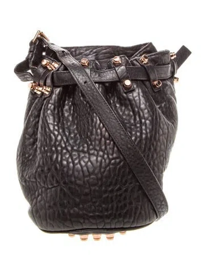 Pre-owned Alexander Wang Leather Bucket Bag In Black