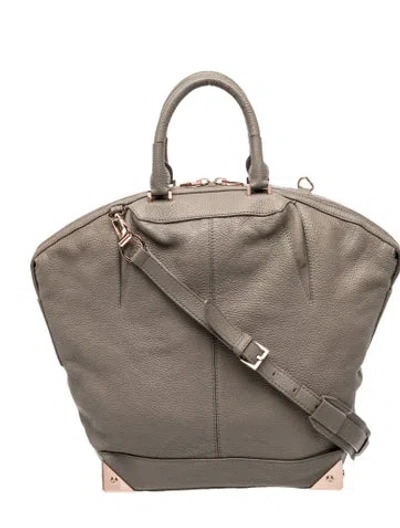 Pre-owned Alexander Wang Leather Bucket Bag In Neutral