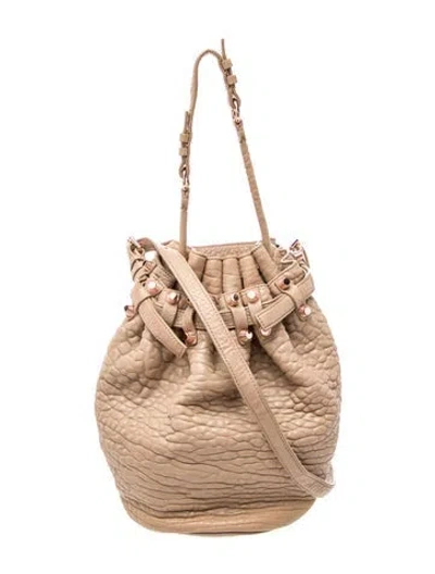Pre-owned Alexander Wang Leather Bucket Bag In Neutral