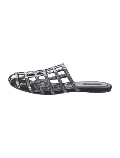 Pre-owned Alexander Wang Leather Crystal Embellishments Flats In Black