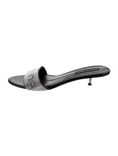 Pre-owned Alexander Wang Leather Graphic Print Slides In Silver