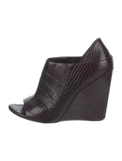 Pre-owned Alexander Wang Leather Pumps In Brown