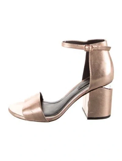 Pre-owned Alexander Wang Leather Sandals