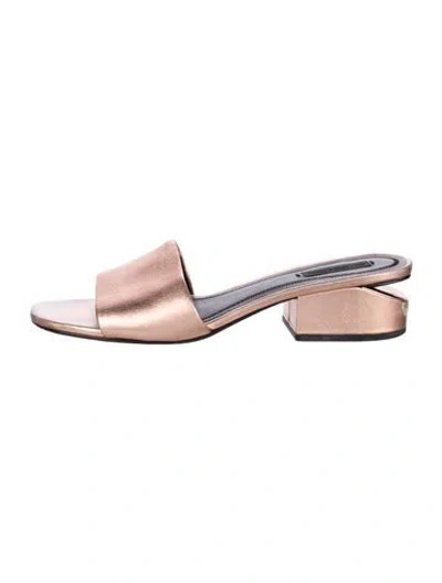 Pre-owned Alexander Wang Leather Sandals