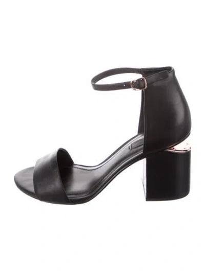 Pre-owned Alexander Wang Leather Sandals In Black