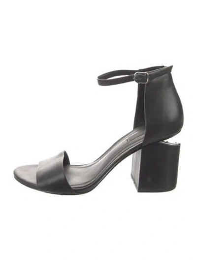 Pre-owned Alexander Wang Leather Sandals In Black