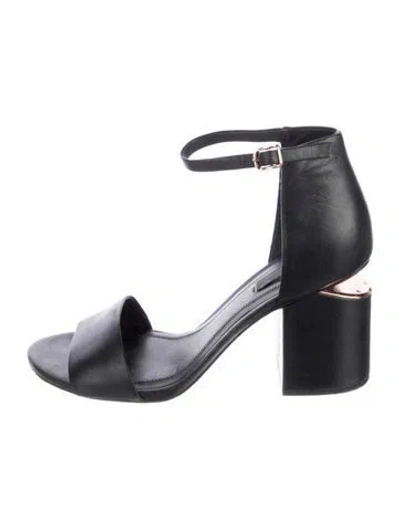 Pre-owned Alexander Wang Leather Sandals In Black