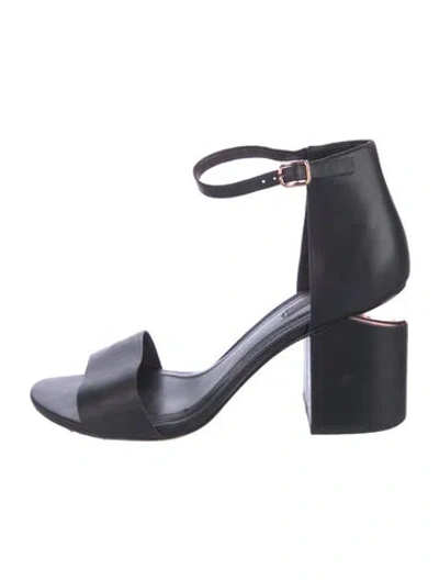 Pre-owned Alexander Wang Leather Sandals In Black