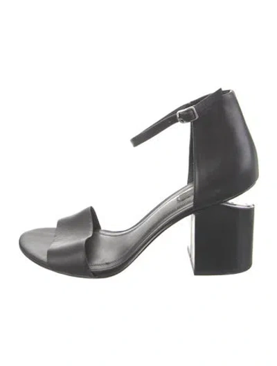 Pre-owned Alexander Wang Leather Sandals In Black